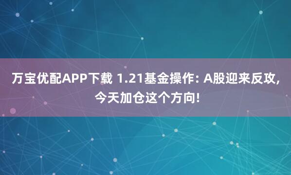 万宝优配APP下载 1.21基金操作: A股迎来反攻, 今天加仓这个方向!